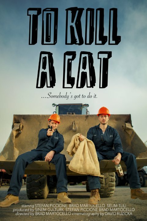 To Kill a Cat (2018)